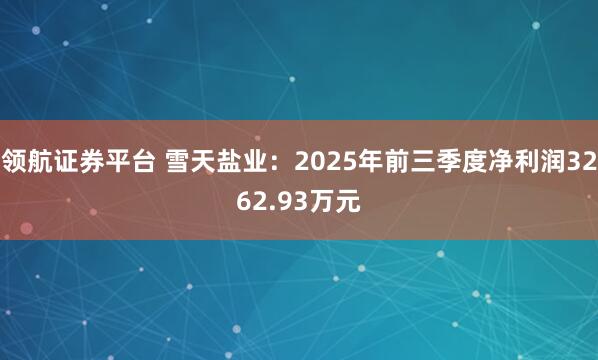 领航证券平台 雪天盐业：2025年前三季度净利润3262.93万元