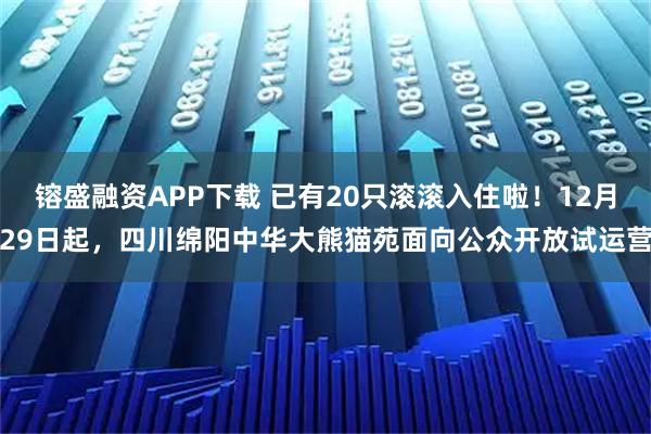 镕盛融资APP下载 已有20只滚滚入住啦！12月29日起，四川绵阳中华大熊猫苑面向公众开放试运营