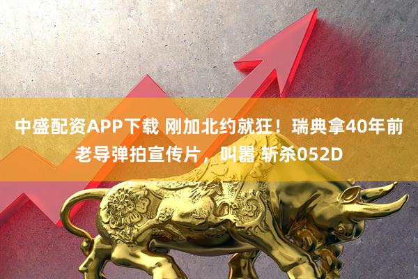 中盛配资APP下载 刚加北约就狂！瑞典拿40年前老导弹拍宣传片，叫嚣 斩杀052D
