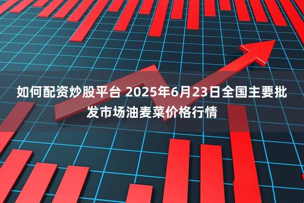 如何配资炒股平台 2025年6月23日全国主要批发市场油麦菜价格行情