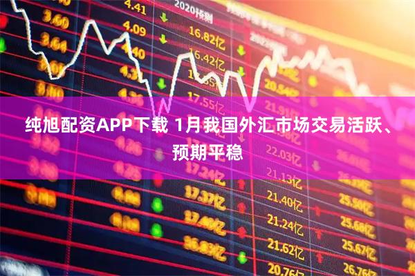 纯旭配资APP下载 1月我国外汇市场交易活跃、预期平稳