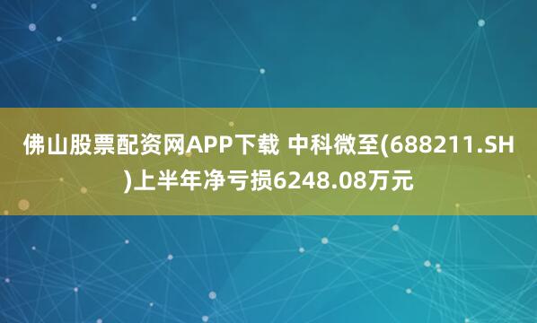 佛山股票配资网APP下载 中科微至(688211.SH)上半年净亏损6248.08万元